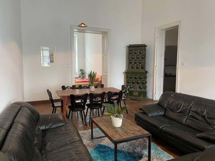 Geraeumige Altbauwohnung Im Zentrum Graz Esterno foto