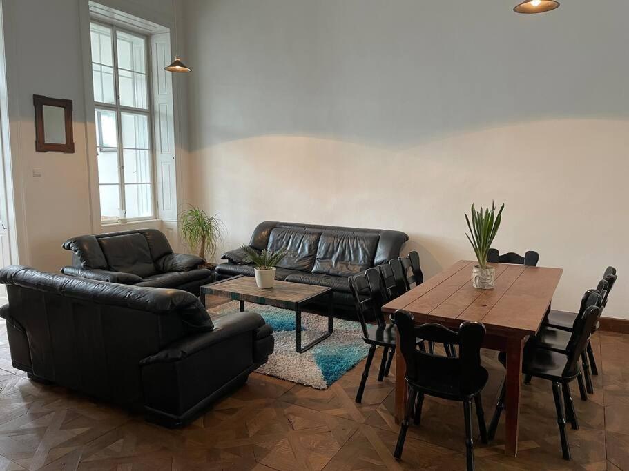 Geraeumige Altbauwohnung Im Zentrum Graz Esterno foto